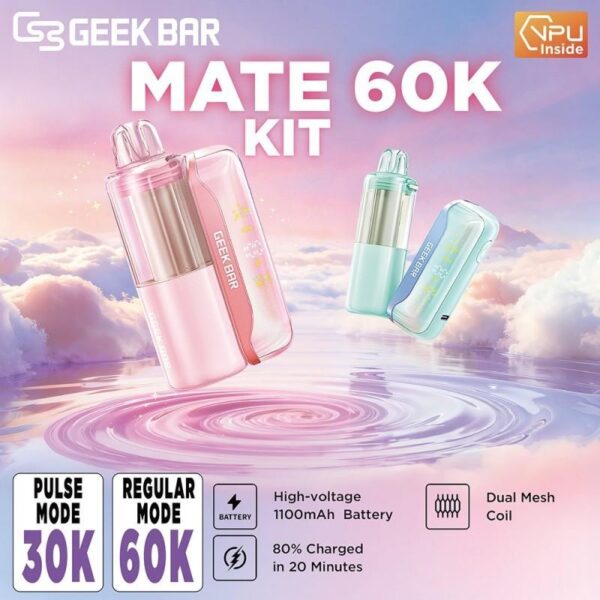 88ab762c-77ad-4efe-968d-9f1f817b2f5d.jpeg Geek Bar Mate Kit