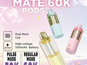 Geek Bar Mate Pod